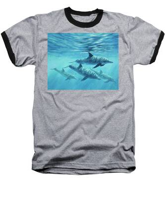 Atlantic Spotted Dolphin Baseball T-Shirts