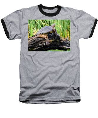 Common Cattail Baseball T-Shirts