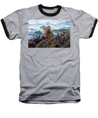 Eurasian Otter Baseball T-Shirts