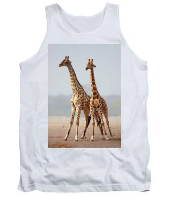 Designs Similar to Giraffes standing together