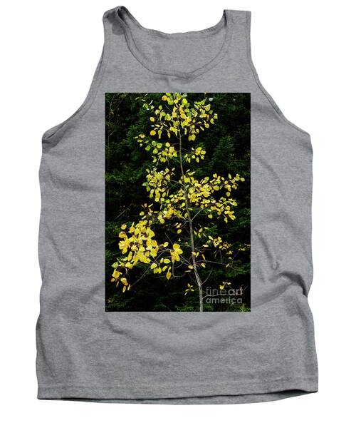 Picea Rubens Tank Tops