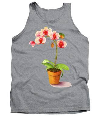 Still Life And Table Top Tank Tops