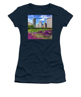 Designs Similar to Chicago Skyline At Lurie Garden