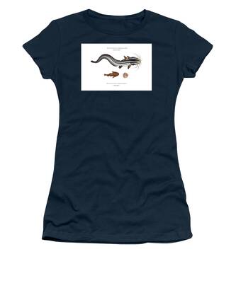 Striped Eel Catfish Women's T-Shirts