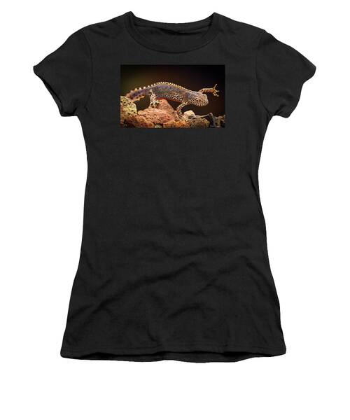 Mesotriton Women's T-Shirts