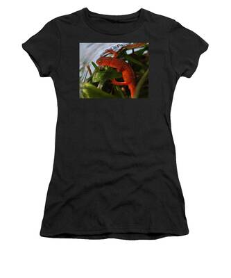 Red-spotted Newt Women's T-Shirts