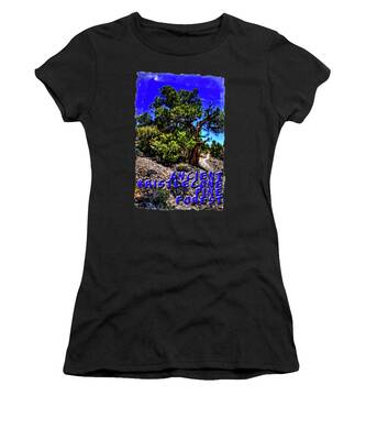 Owens Valley Women's T-Shirts
