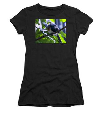 Crested Coua Women's T-Shirts
