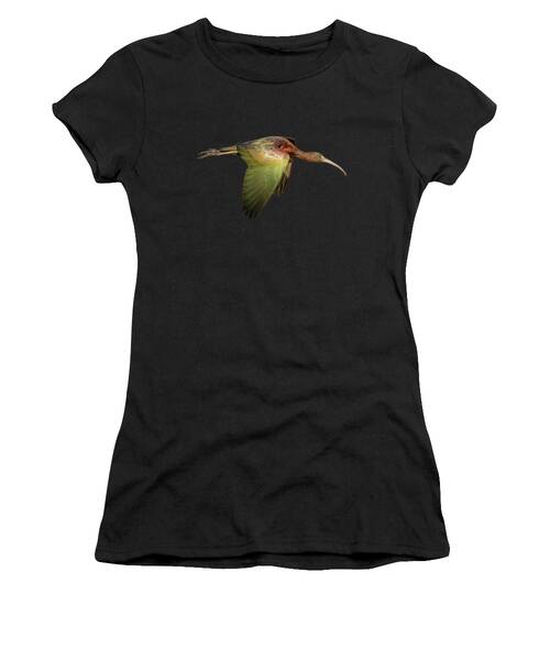 Glossy Ibis Women's T-Shirts