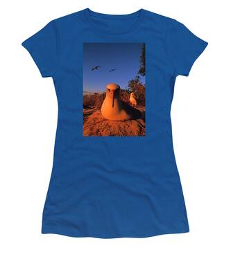 Laysan Albatross Women's T-Shirts