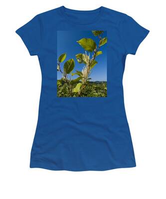 Polygonum Cuspidatum Women's T-Shirts