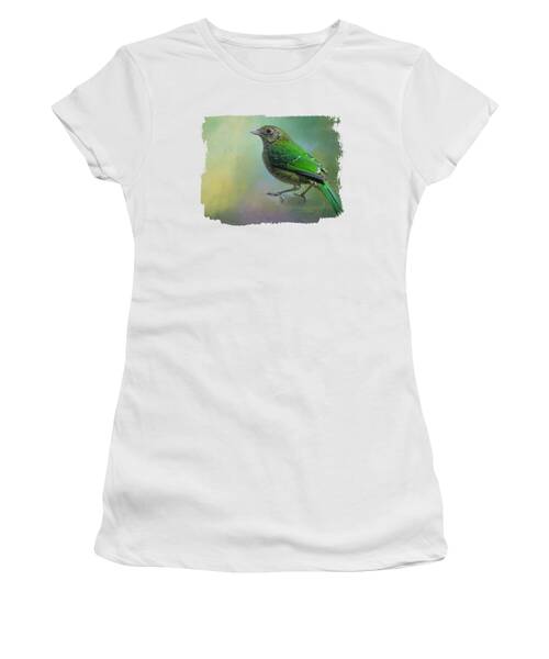 Catbird Women's T-Shirts