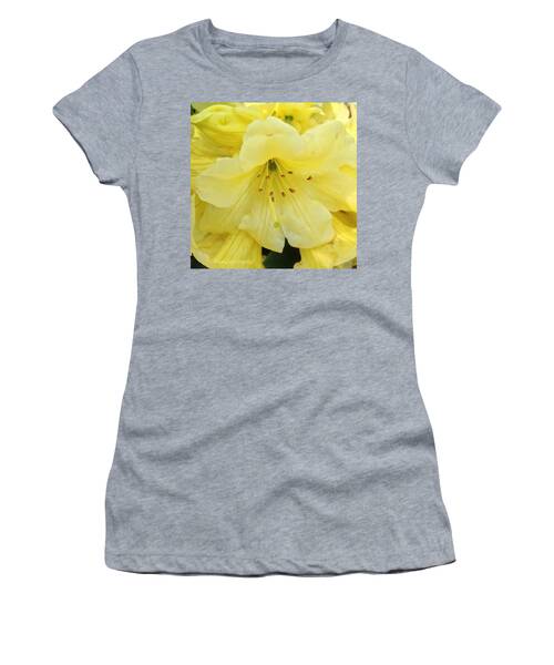 Yellow Lemon Women's T-Shirts