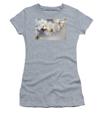 Designs Similar to Spring Blossoms