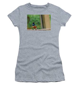 Colorful Bird Women's T-Shirts