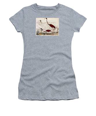 American White Ibis Women's T-Shirts