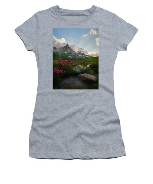 Designs Similar to Afternoon Light in the Alps III