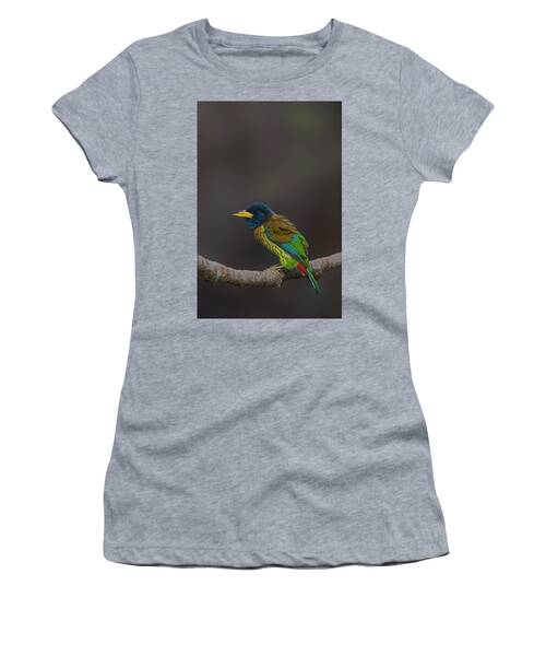 Song Women's T-Shirts