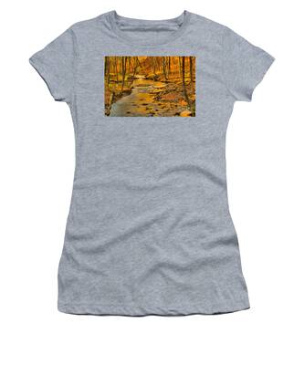 Hollow Log Women's T-Shirts