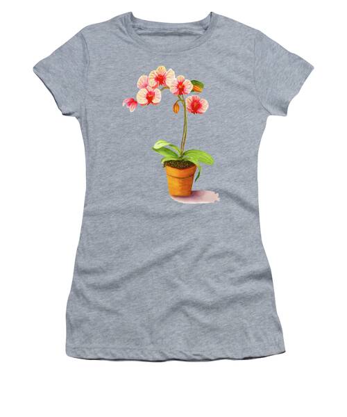Clay Flower Pots Women's T-Shirts