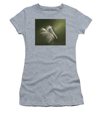 Common Buzzard Women's T-Shirts