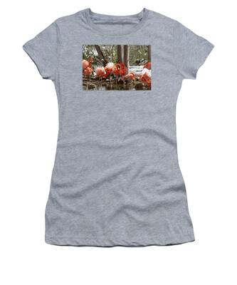 Denver Zoo Women's T-Shirts
