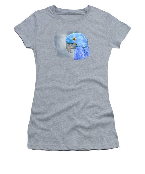 Hyacinth Macaw Women's T-Shirts