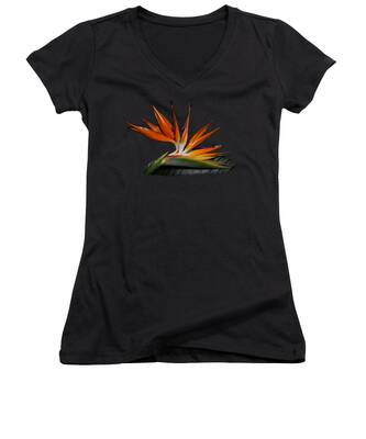 Birds Of Costa Rica Women's V-Neck T-Shirts