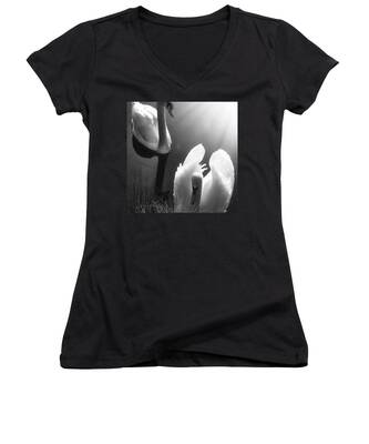 Swan Women's V-Neck T-Shirts