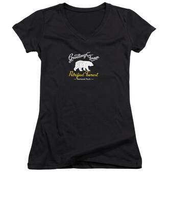 Petrified Forest National Park Women's V-Neck T-Shirts