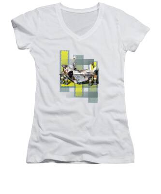 Framed Digital Women's V-Neck T-Shirts