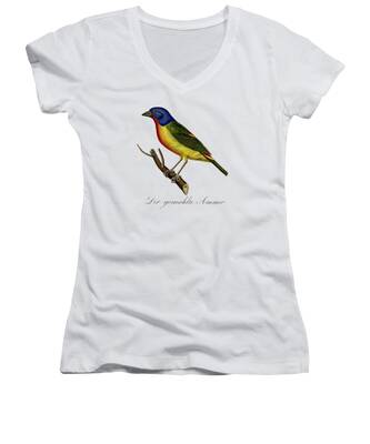 Painted Bunting Women's V-Neck T-Shirts