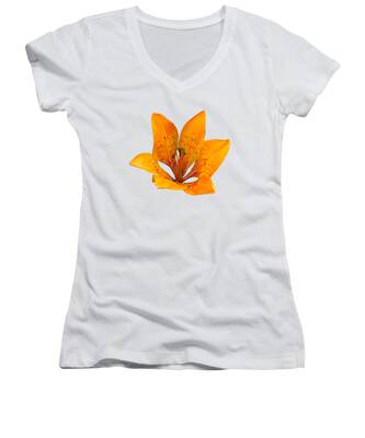 Lilium Bulbiferum Women's V-Neck T-Shirts
