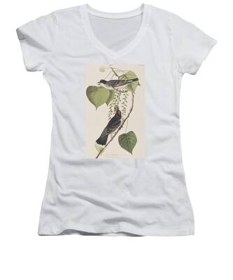 Tyrant Flycatcher Women's V-Neck T-Shirts