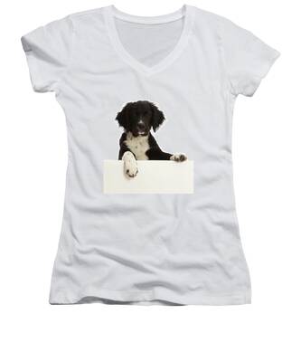 Sprocker Puppy Women's V-Neck T-Shirts
