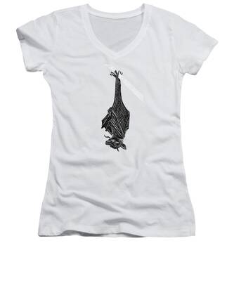 Pteropus Women's V-Neck T-Shirts