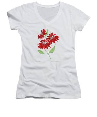 Poinsettia Women's V-Neck T-Shirts