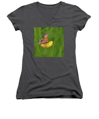 Igbutterflies Women's V-Neck T-Shirts