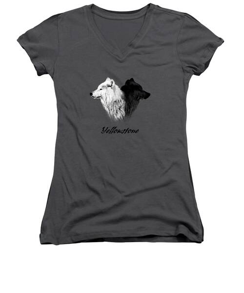 Yellowstone Canyon Women's V-Neck T-Shirts