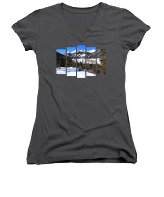 Willow Branch Women's V-Neck T-Shirts