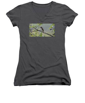 Willow Flycatcher Women's V-Neck T-Shirts