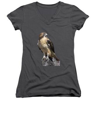 Avian Women's V-Neck T-Shirts