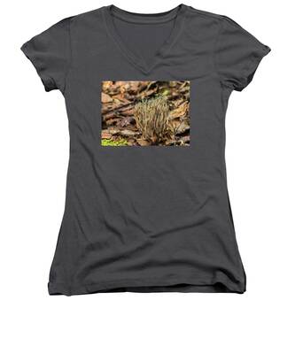 Mushroom Coral Women's V-Neck T-Shirts
