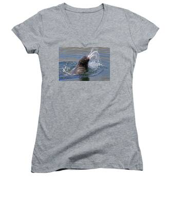 Cape Fur Seal Women's V-Neck T-Shirts