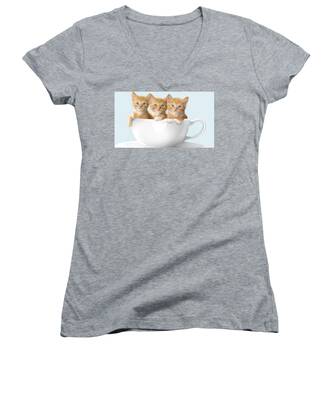 Domestic Animals Women's V-Neck T-Shirts