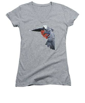 African Gray Parrot Women's V-Neck T-Shirts