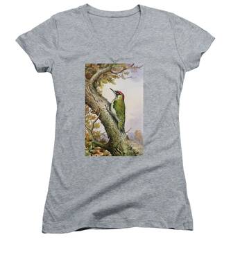 Acorn Woodpecker Women's V-Neck T-Shirts