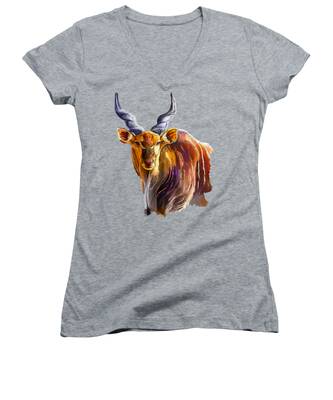 Southern Rocky Mountains Women's V-Neck T-Shirts