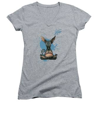 Sphynx Cat Women's V-Neck T-Shirts