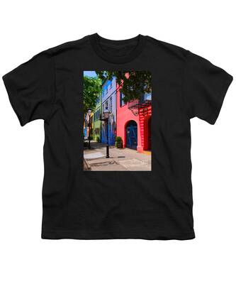 Scenic Tours Youth T-Shirts